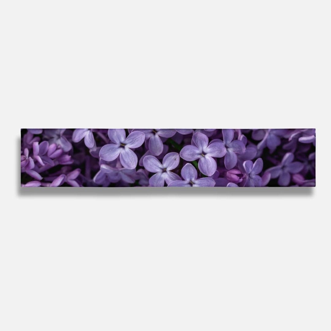 Bandeau Cache Oreille Femme I Color Head