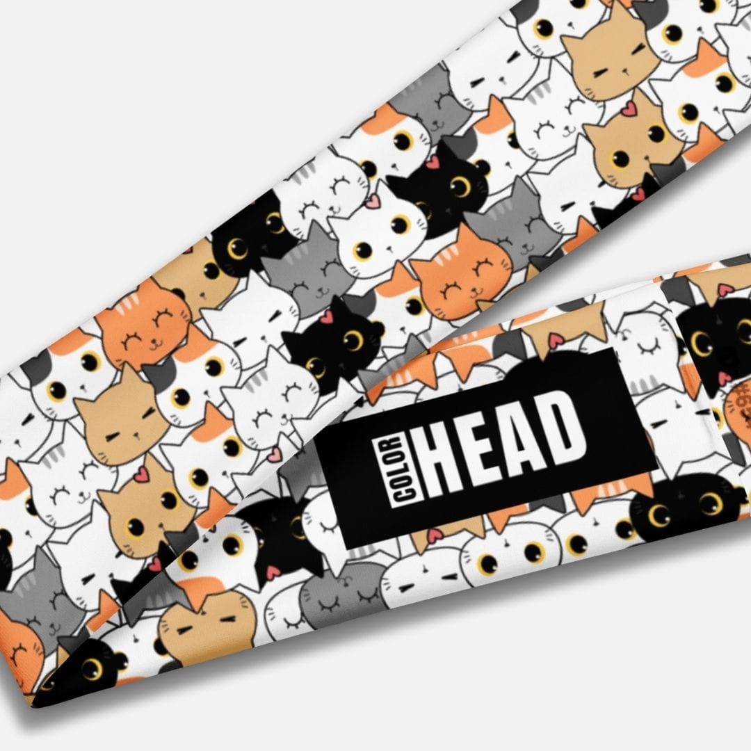 Bandeau Maquillage I Animaux