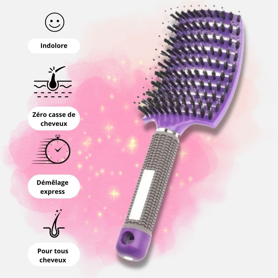 Violet Brosse à Cheveux <br> La Plastique