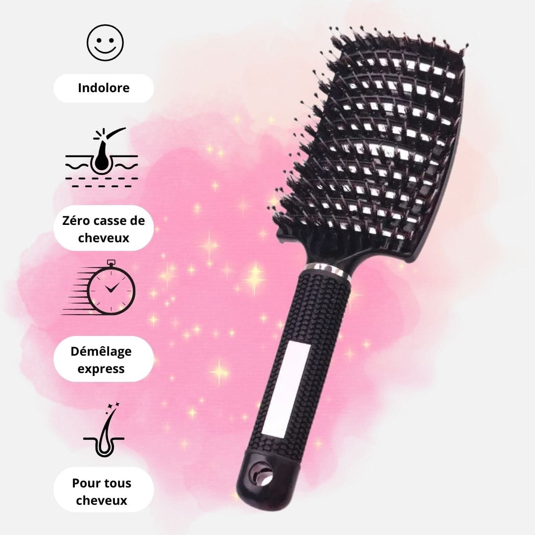 Noir Brosse à Cheveux <br> La Professionnelle